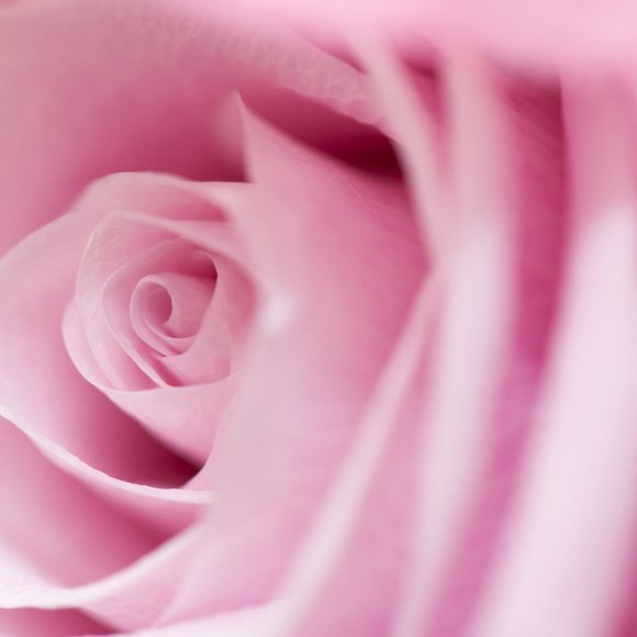 Meet your Posher, Hilda - Picture 1 of 1